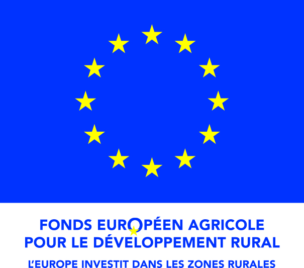 logo fonds européen